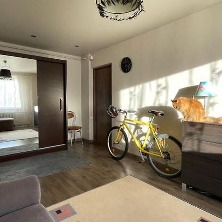 Akropolis Apartment 克莱佩达 外观 照片
